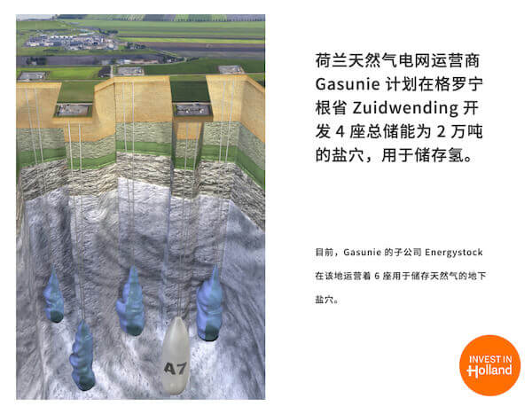 荷兰努力串起全球氢经济.jpg