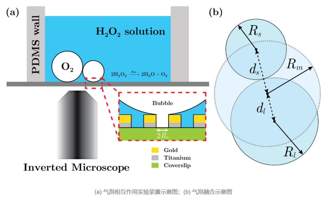 中国团队在气泡相互作用方面取得重要进展为促进水解制氢等新能源技术的发展提供理论基础.jpg